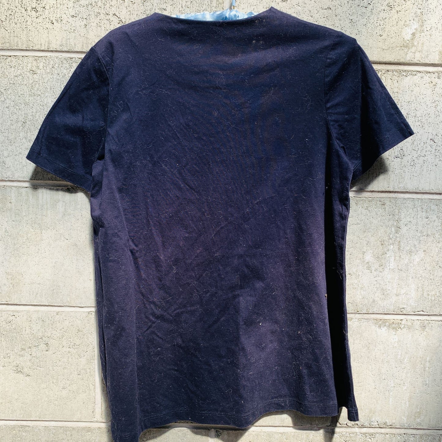 COS / scalloped navy top / XS (3777618143004102177)