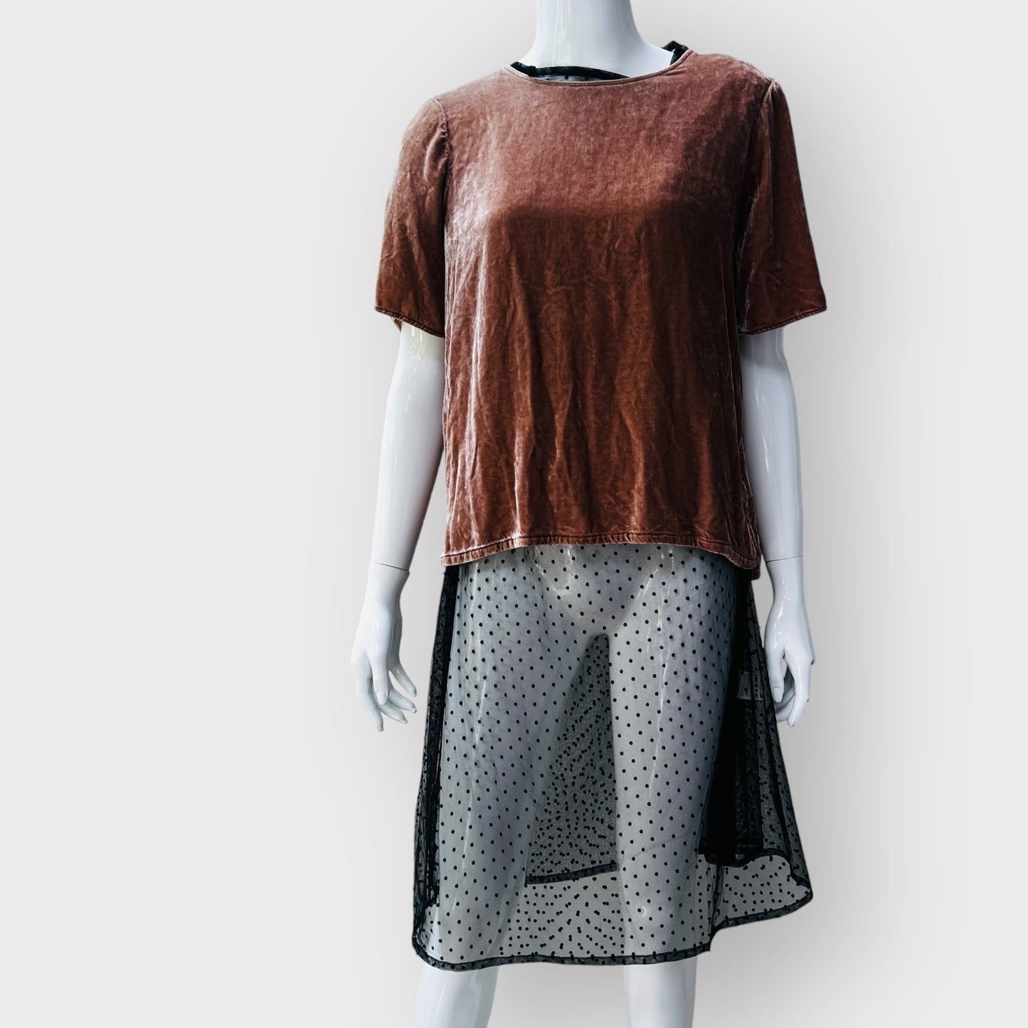 SEED HERITAGE / velvet top / 10 (3868349577468784615)