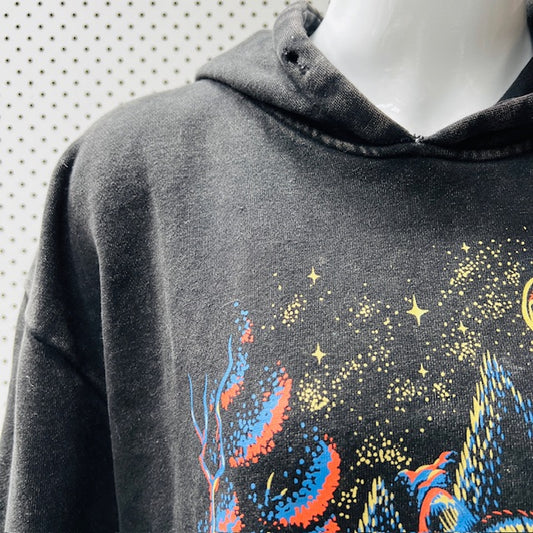 SANTA CRUZ - Winkowski Trash Panda Hoodie / m (3874819772434323208)