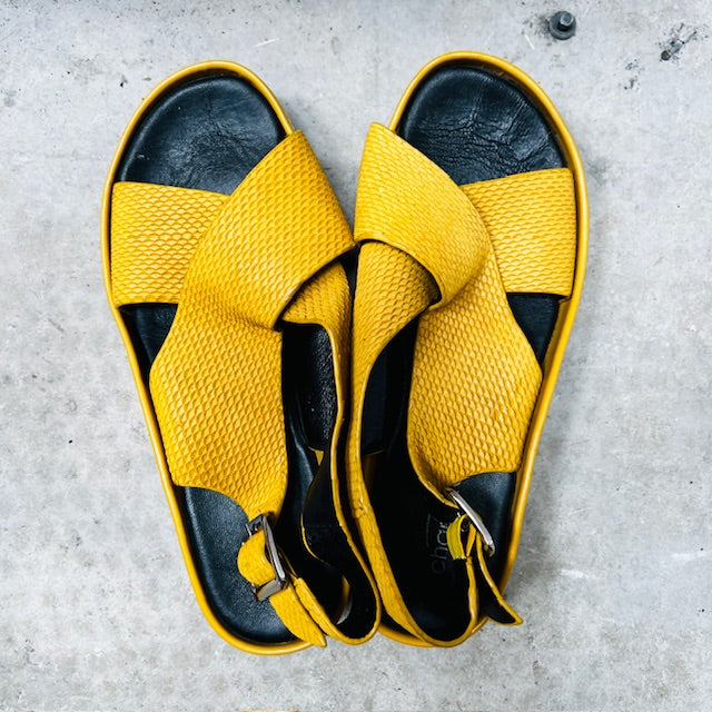 CHARLIE ROSE / sadia sandals / yellow / 38 (3881401020671050288)