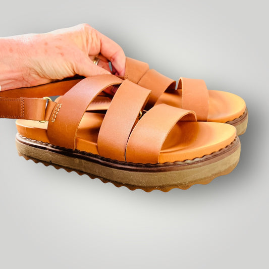 Sperry / Cami Flatform Sandal / 39 (3897133320817738421)