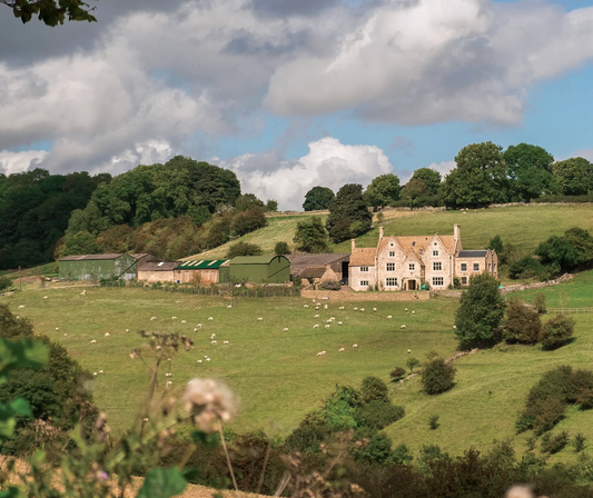 Quiet Confidence: How to Master the "Old Money" Aesthetic (Without the Family Trust)