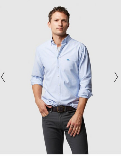 RODD + GUNN / tailored cotton shirt / XL (3792053446187251641)