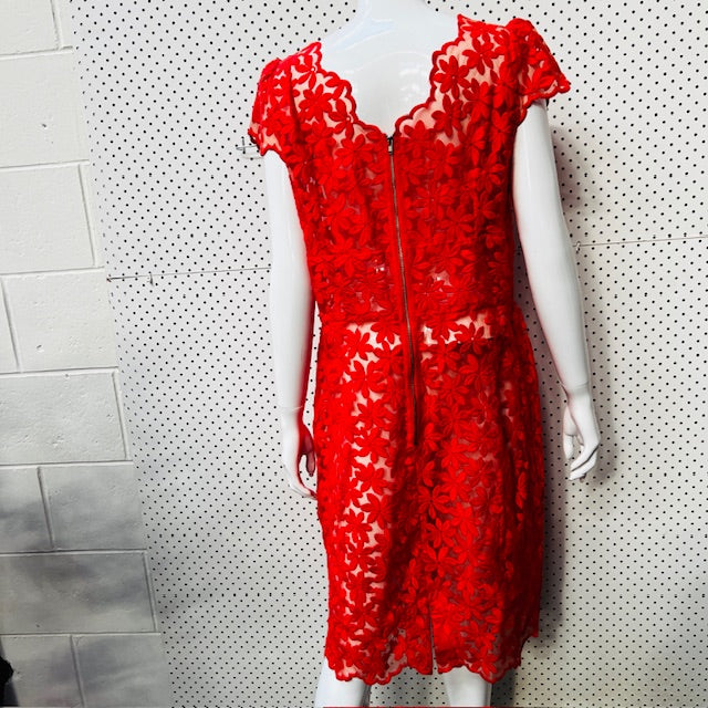 2000s nz vintage / ANDREA MOORE / lace dress + coat / 14 (3890670100116623168)
