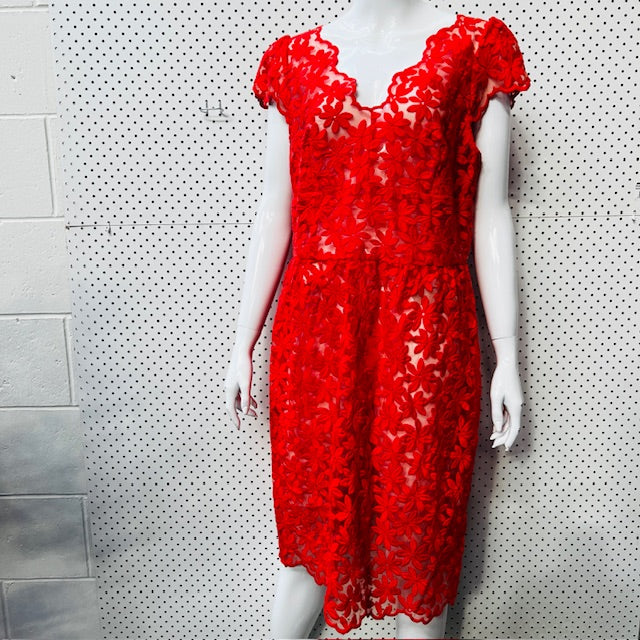 2000s nz vintage / ANDREA MOORE / lace dress + coat / 14 (3890670107410658059)