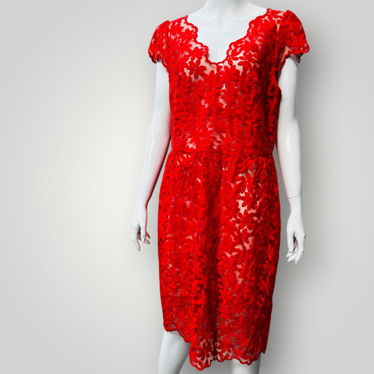 2000s nz vintage / ANDREA MOORE / lace dress + coat / 14 (3890671570536387919)