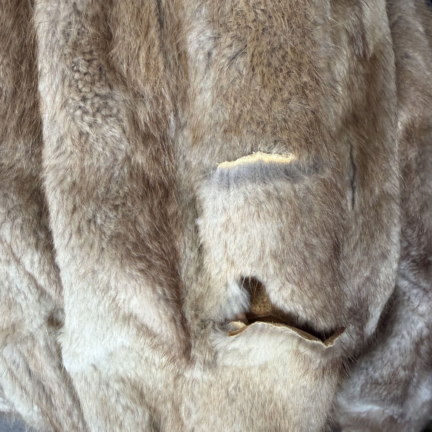 1960s nz vintage / PATTISON EDE / fur coat / m (3917861124783007494)