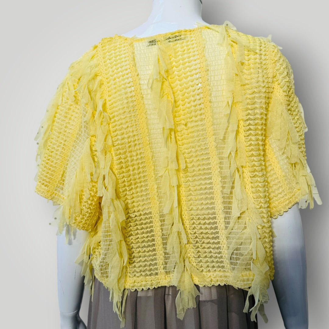 Zara / tulle fringe crop top / yellow, / S (3918299628109755688)