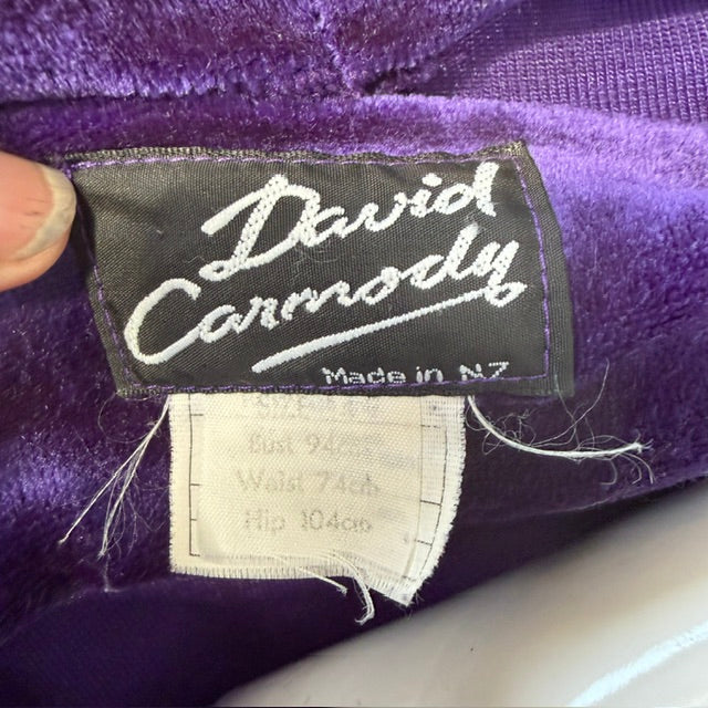 1980s nz vintage / DAVID CARMODY / purple velvet oversized top / L (3919247275210734126)