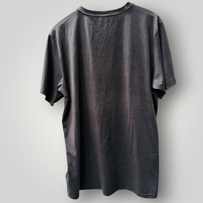 NORTH FACE / grey tee / L (3925207070935057178)
