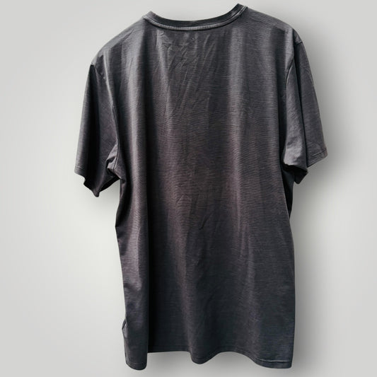 NORTH FACE / grey tee / L (3925207070935057178)